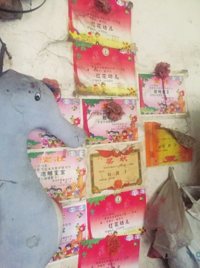 邓州拾荒夫妻40年收养9弃婴 一墙奖状是老两口的最好礼物