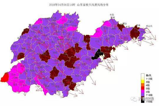 光天化日汽车不翼而飞!车主惊慌报警 盗贼竟是它